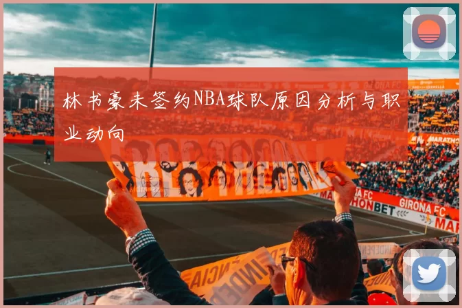 林书豪未签约NBA球队原因分析与职业动向