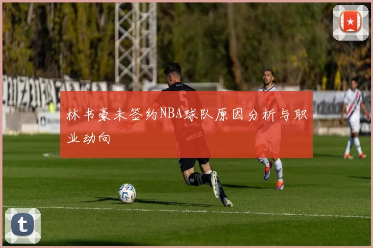 林书豪未签约NBA球队原因分析与职业动向