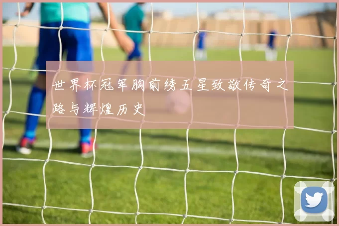 世界杯冠军胸前绣五星致敬传奇之路与辉煌历史