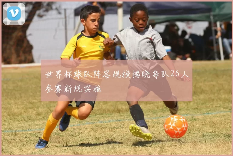 世界杯球队阵容规模揭晓每队26人参赛新规实施