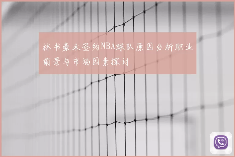 林书豪未签约NBA球队原因分析职业前景与市场因素探讨