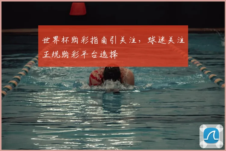 世界杯购彩指南引关注,球迷关注正规购彩平台选择