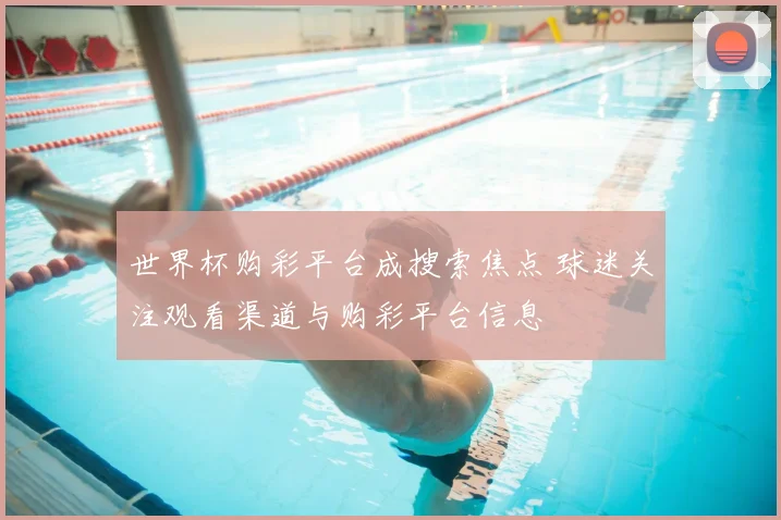 世界杯购彩平台成搜索焦点 球迷关注观看渠道与购彩平台信息